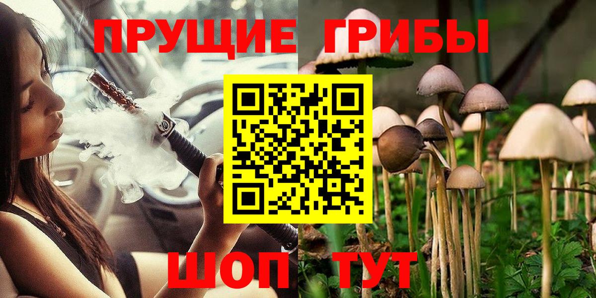 Псилоцибиновые грибы Cubensis  Вход с VPN  Гурьевск 